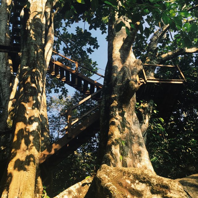 普吉岛美丽的阳光海水,普吉岛阳光沙滩大海