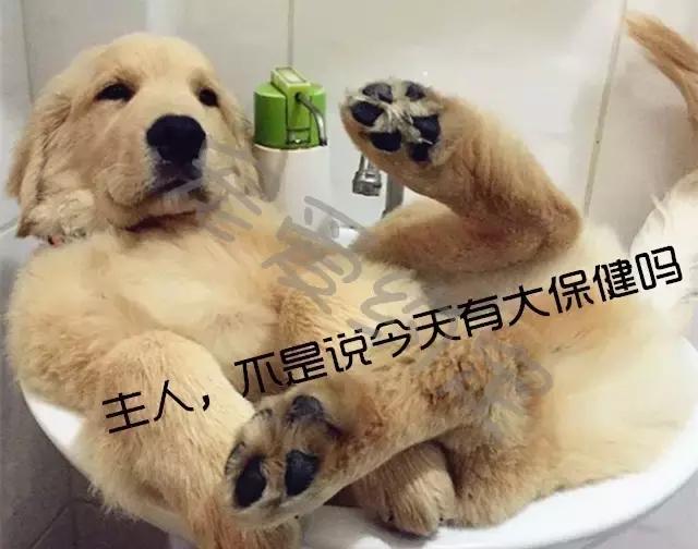 千万不要点开原声是什么梗,千万不要点开原声好吗