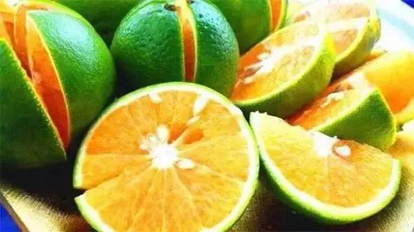 缁挎鏃呰,骞垮窞缁挎鏃呮父