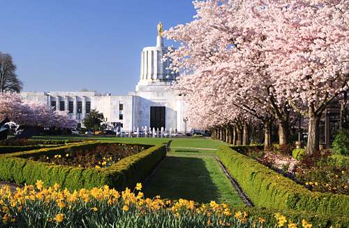 美国苹果免税州有哪些,美国免税州真实地址