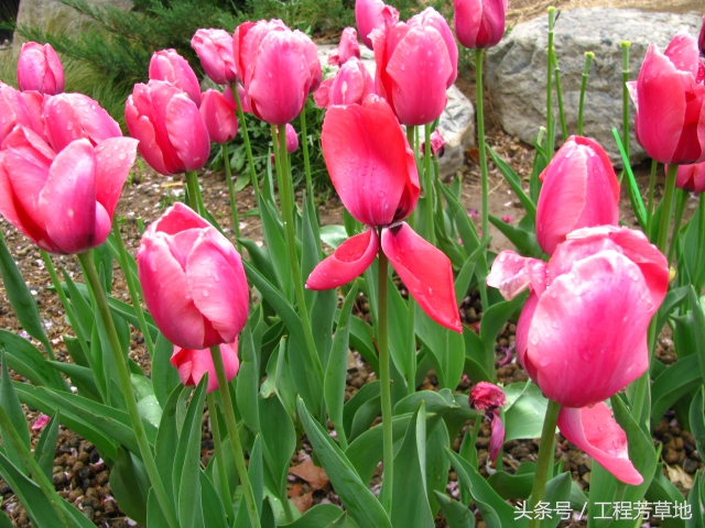 装修公司工程部经理属于什么岗位,工程副总与工程部经理区别