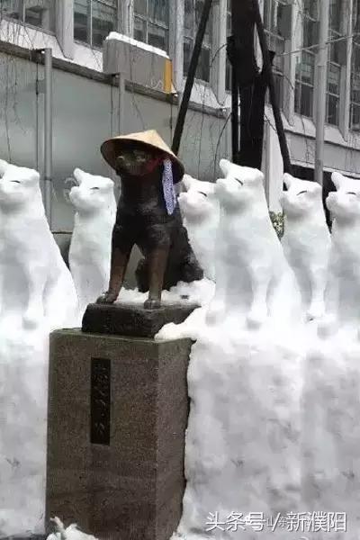 濮阳第一场雪是几号,濮阳哪一年5月份下的雪