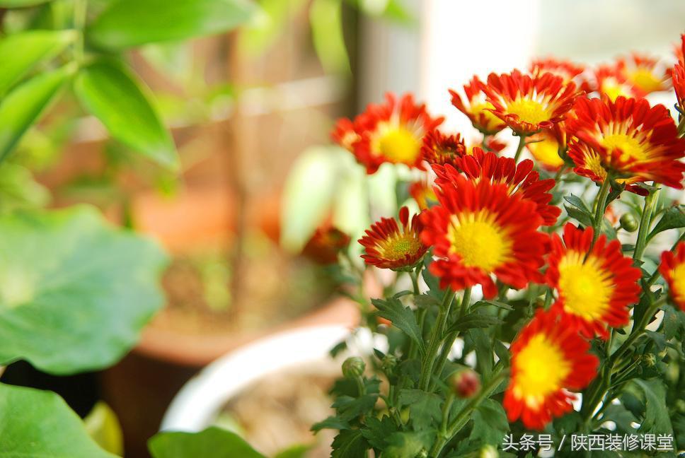 晒晒我的新家,晒晒我的新家装修