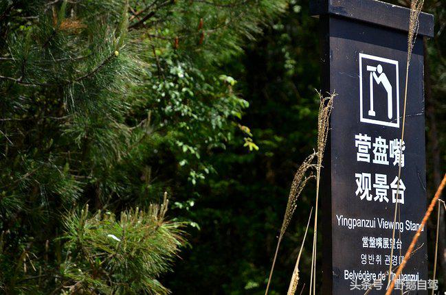 房车自驾阆中古城游玩攻略,野鹅自驾霞云岭