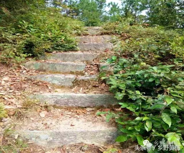 难忘大青山,难忘中学