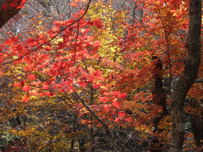 济州岛市区买买买攻略,济州岛必须做的100个事