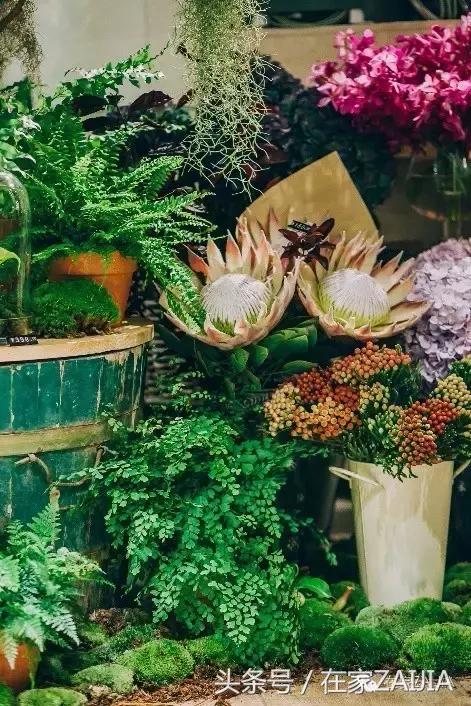 开家花店荒度余生赚得不多,开家花店度过余生