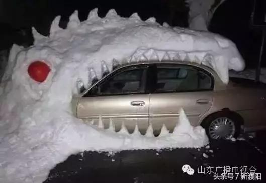 濮阳第一场雪是几号,濮阳哪一年5月份下的雪