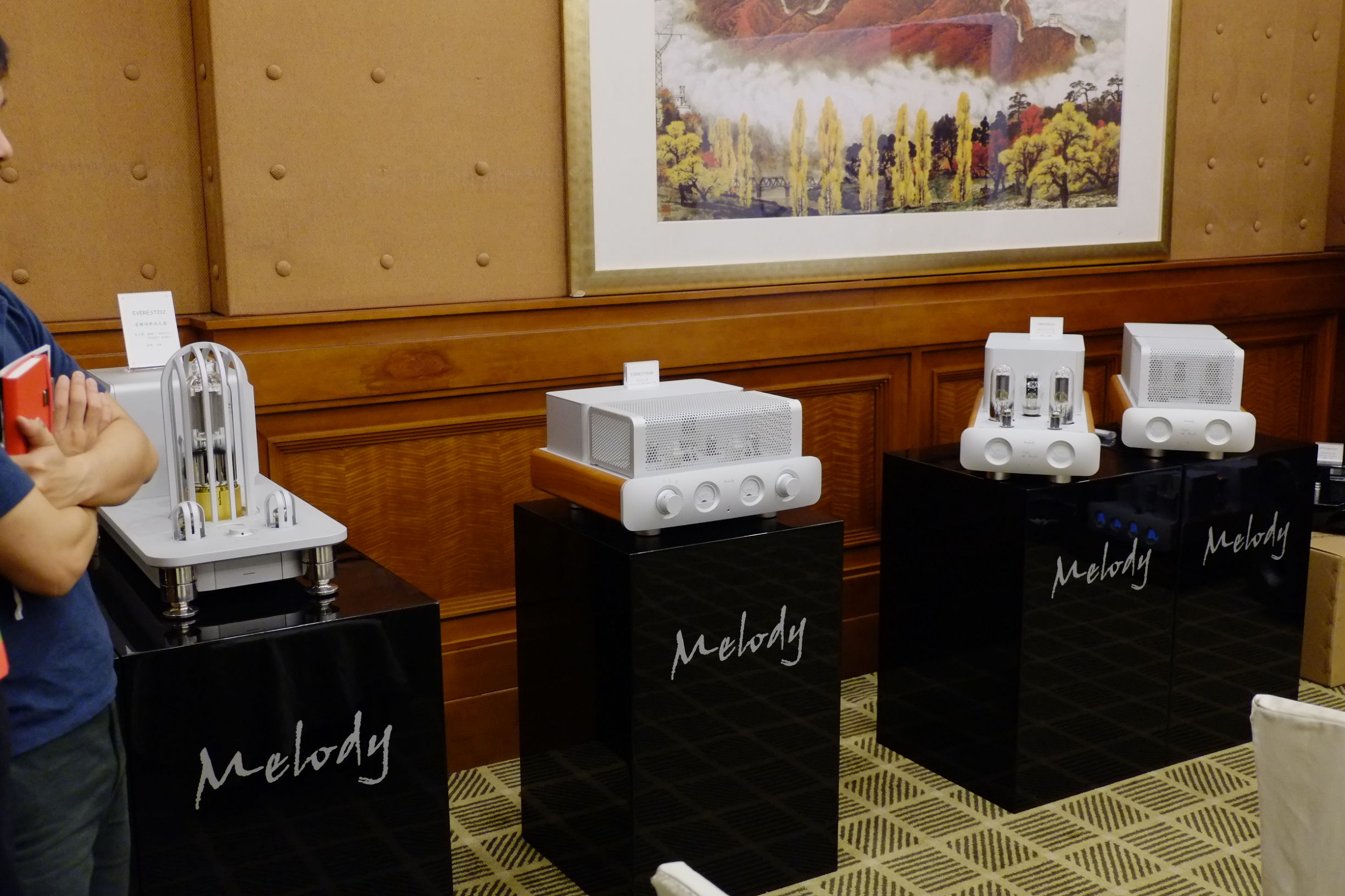 世界顶级音响博览会,世界顶级汽车音响展