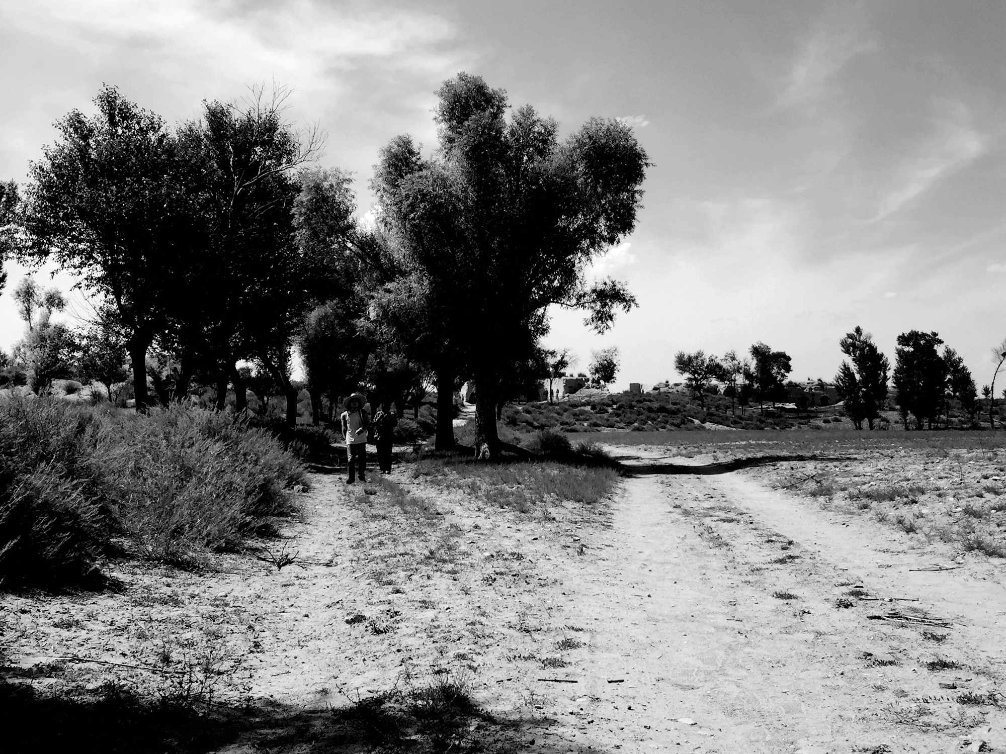 历史丨匈奴最后的遗址：废都统万城