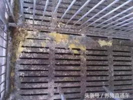 产房腹泻的治疗方法,产房肚子胀气治疗方法