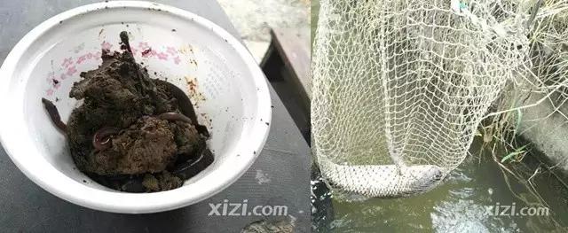 入冬了，原来惠阳的吃货们是这么玩的，看完后越寒冷越心动！