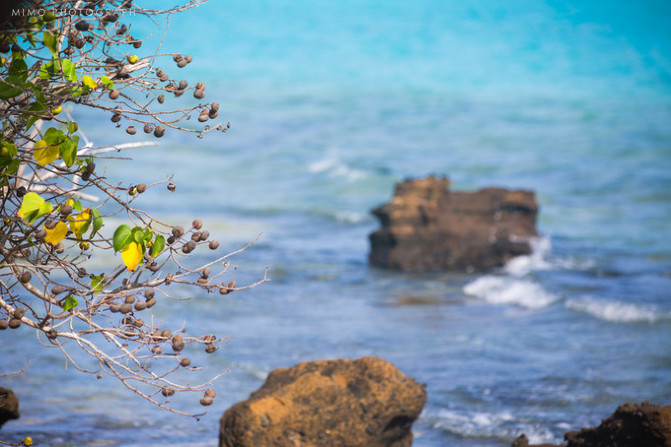 库克，上帝最秘密的存在