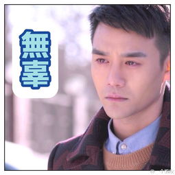 王凯靖王帅气,王凯王鸥表情包