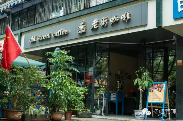 成都乐山10大网红,有哪些网红来过乐山