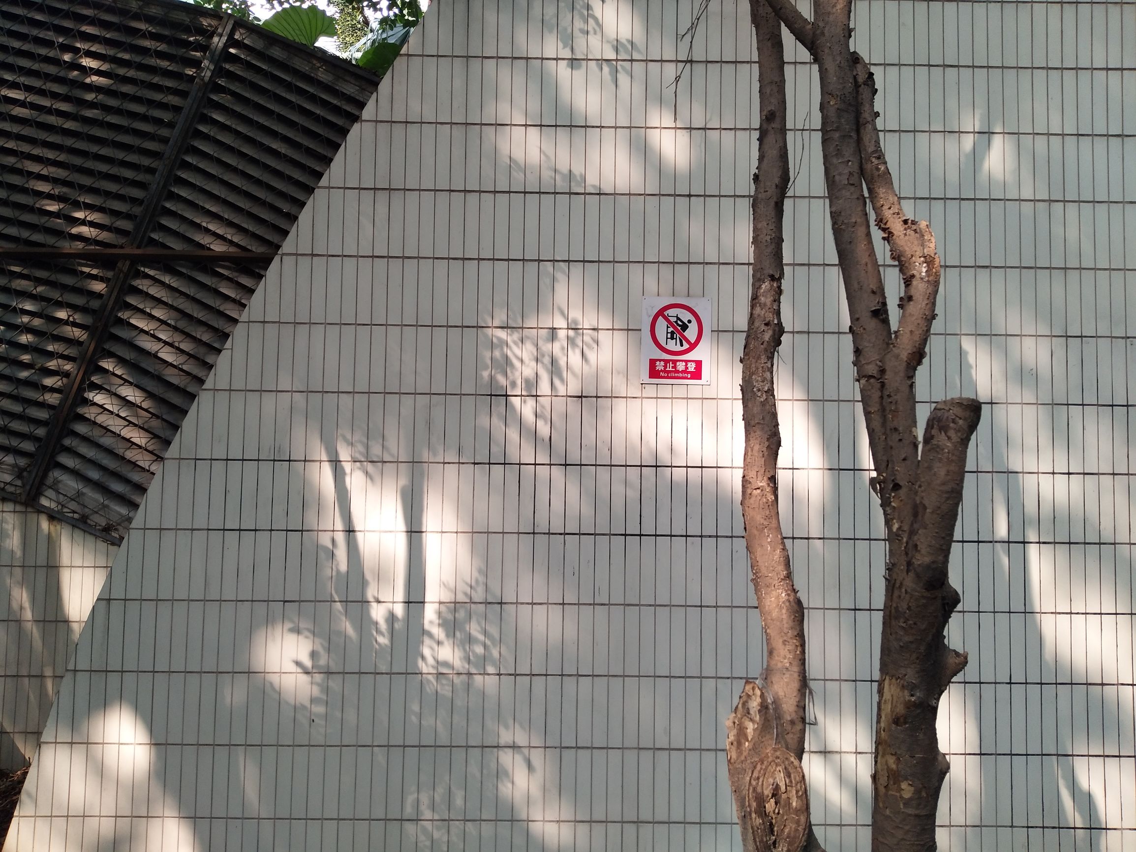 vivox9s柔光双摄怎么样,vivox9拍照效果怎样