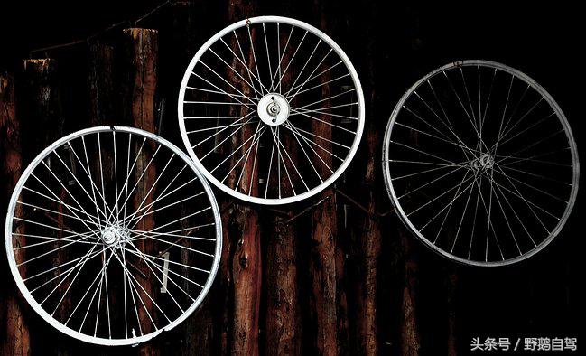 新疆野鹅自驾游视频,野鹅圣诞节自驾游