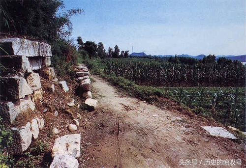 令考古学家都意想不到的发现,令人惊叹的考古发现