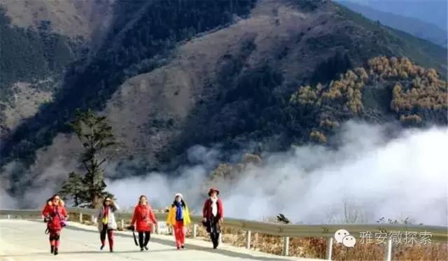 最美的季节,醉美的季节原唱视频