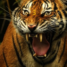 十二生肖猜成语谜语大全及答案,谜语答案十二生肖谁跑的最快