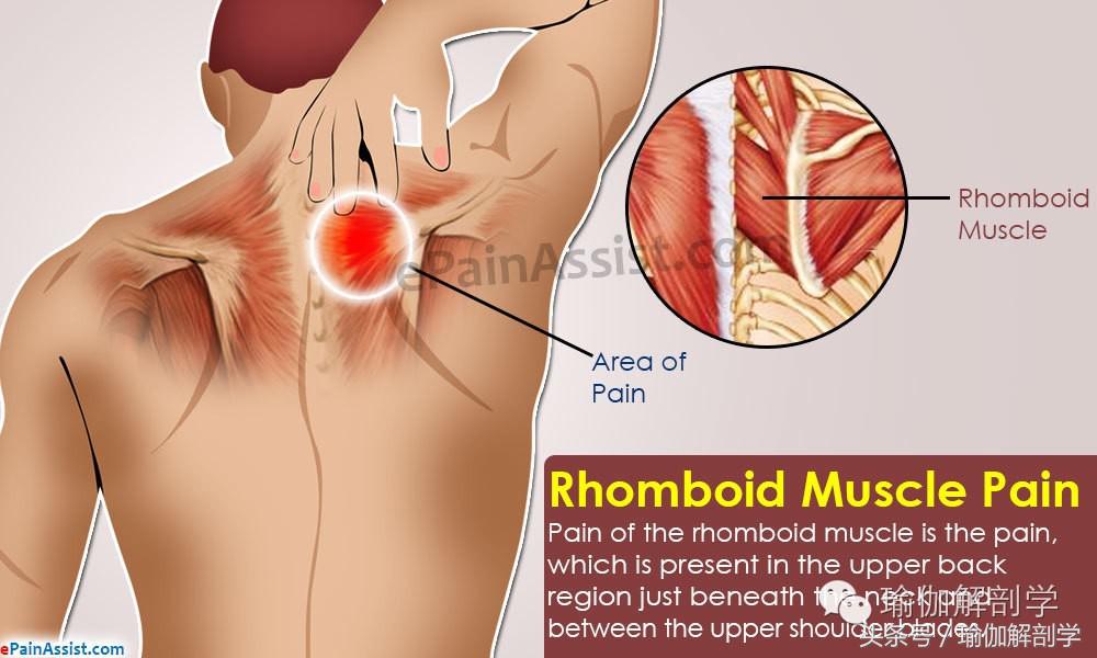 颈椎压迫神经肩背部疼痛,颈肩背部僵硬疼痛是什么原因