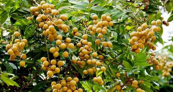 泸州市十大水库排名,泸州大坝工程