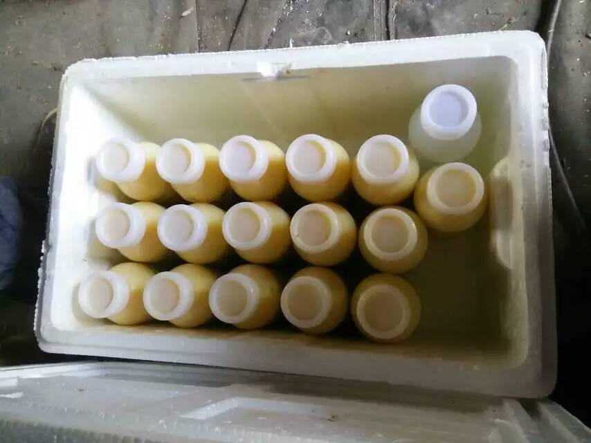 蜂王浆在护肤品里的功效与作用,蜂王浆护肤品对皮肤的作用与功效