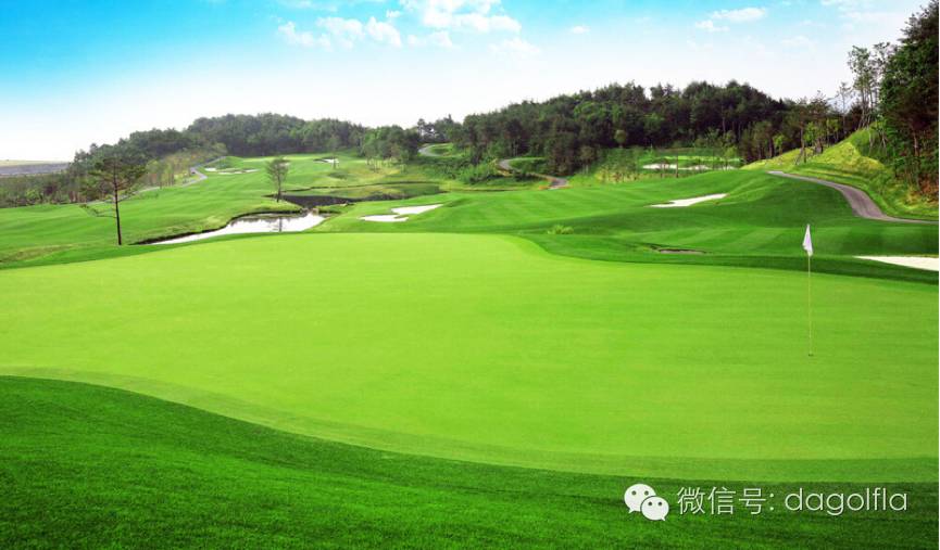 高尔夫球优惠活动,高尔夫挥杆练习场团购