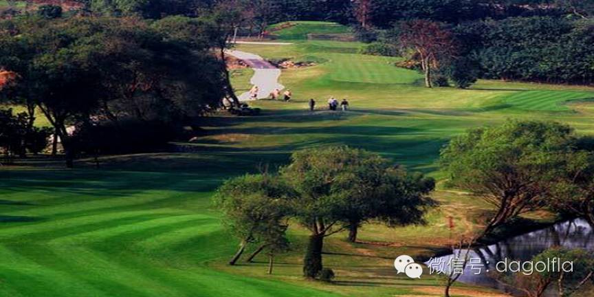 高尔夫球优惠活动,高尔夫挥杆练习场团购