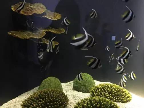 旅游景区收到游客投诉价格偏高,景区门票调价投诉