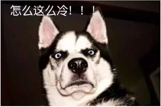 最强冷空气杀来，这10款冬季面霜可以种草了！