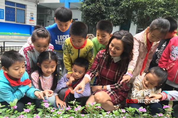 家门口的好学校校长,芙蓉区燕山小学办学特色