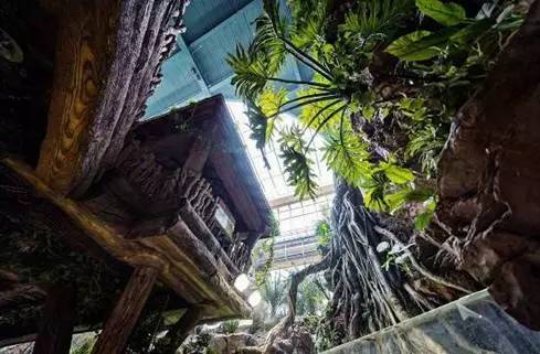 旅游景区收到游客投诉价格偏高,景区门票调价投诉