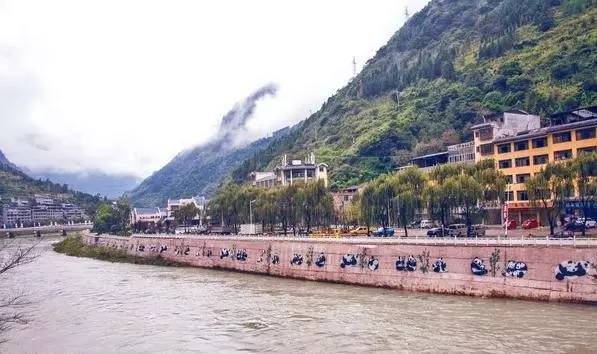 四川大熊猫栖息地在哪个位置,3分钟了解四川大熊猫栖息地