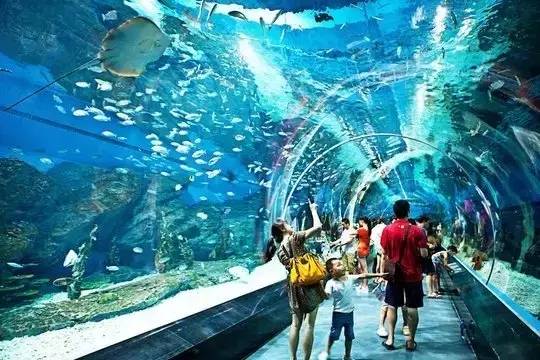 青威烟荣城际,青威烟荣城际高铁