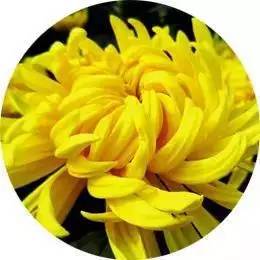 冬季手脚粗糙干裂的原因,冬天手脚裂口用什么药膏