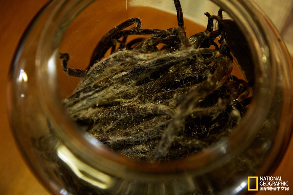 香草之岛留尼汪，上帝私藏在印度洋的小盆景！