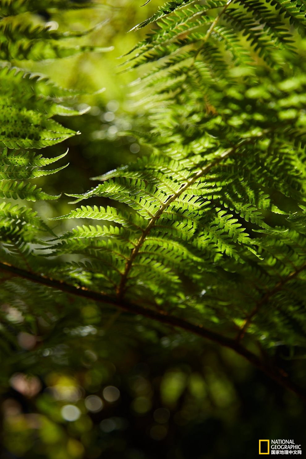 侠骨柔情展现的淋漓尽致,侠骨柔情温柔似水