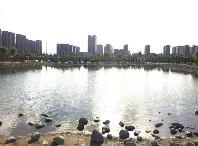 包头城建大项目,包头市新建公园