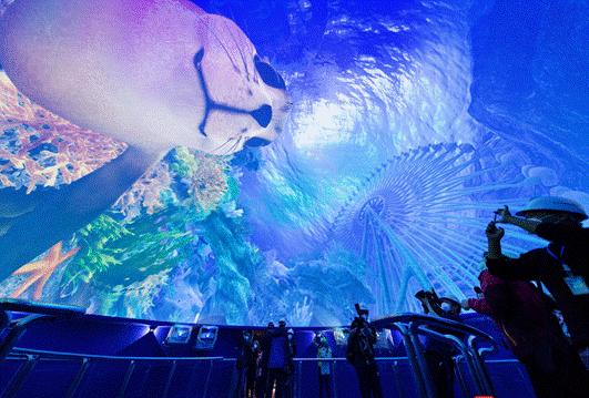 旅游景区收到游客投诉价格偏高,景区门票调价投诉