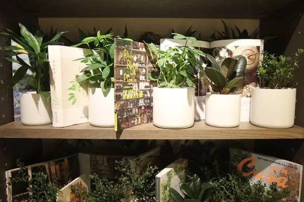 无印良品muji图书,无印书店