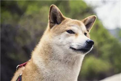 活动回顾｜欧帝亿主题巴士回顾--畅游幽谷神潭