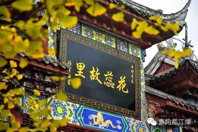 成都西部银杏第一村 (成都市周边哪里的银杏最多最美)