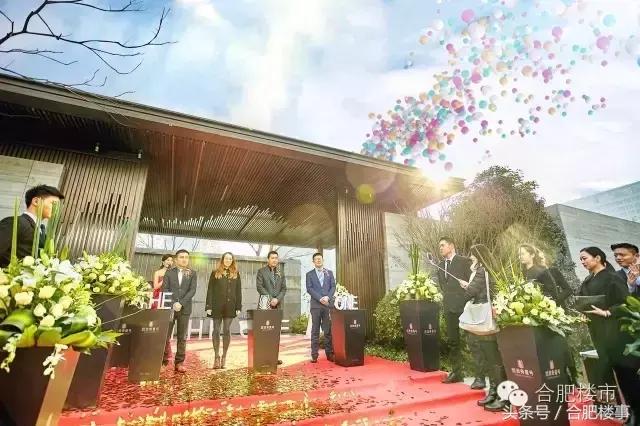 这家楼盘阳台近11米,政务又一豪宅将上市,放风2.5万/㎡