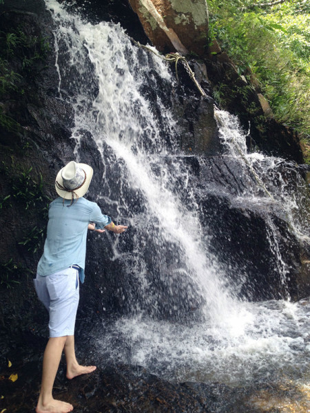 森林氧吧游玩攻略,宝界森林公园游玩攻略