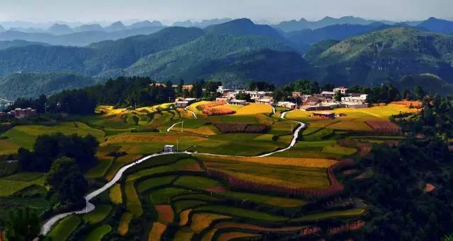 天津飞厦门航线,天津航空20条特价航线