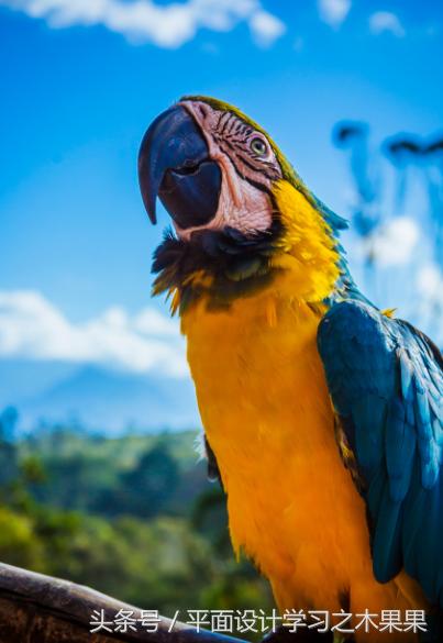 色彩学色彩设计与配色,学习颜色认知视频