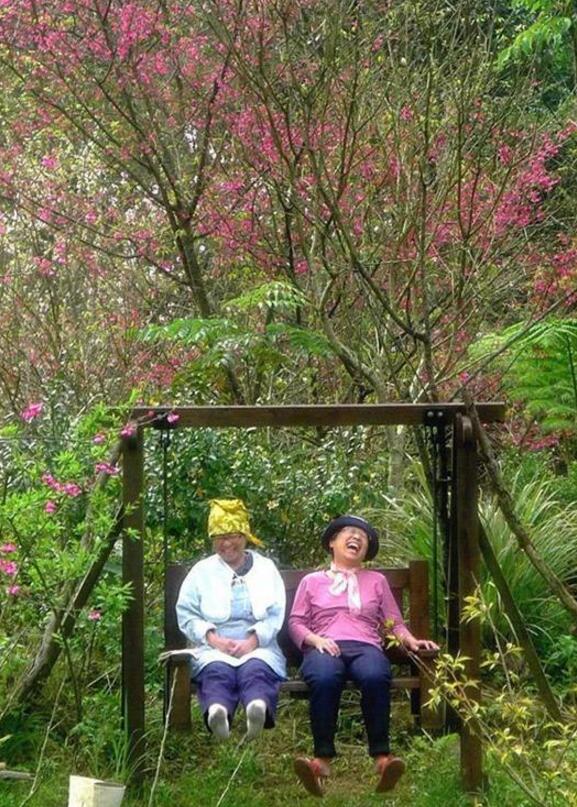 台湾首位园艺治疗师：当你照料植物，就是一种疗癒