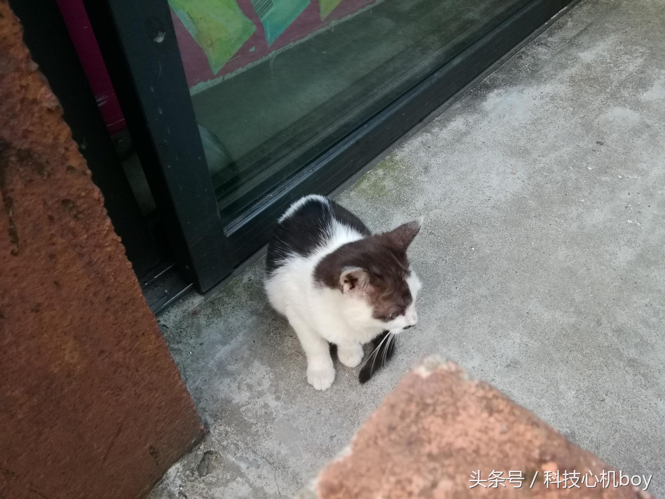 华为nova8pro和荣耀m3哪个好,华为mate40e和荣耀m3选哪个