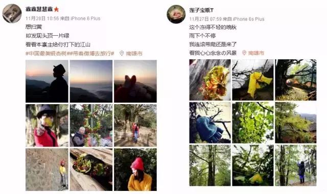 南雄看银杏值得去吗,南雄看银杏攻略